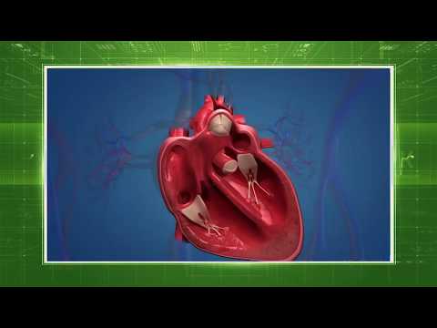 Лечение сердечно-сосудистых заболеваний - Всё о сердце