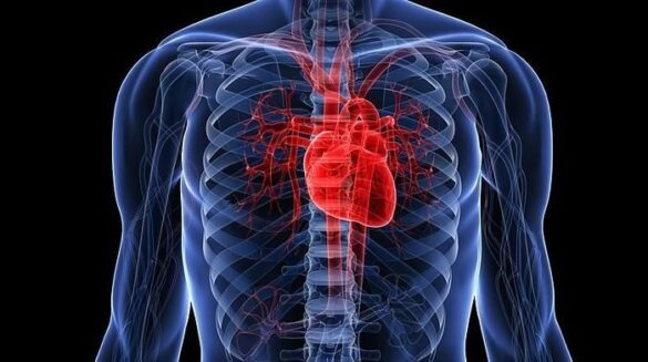 Препараты вызывающие остановку сердца - Всё о сердце