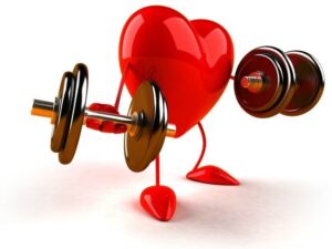 Здоровое сердце — укрепляем сердечную мышцу шаг за шагом - Всё о сердце